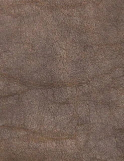 Trysta Bar And Counter Stool -Home Furni Shop 105861 021 DET 2