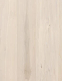 Rosamonde Desk -Home Furni Shop 107317 004 DET 2