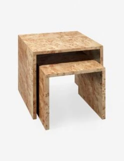 Raisa Burl Wood Nesting Side Tables (Set Of 2)