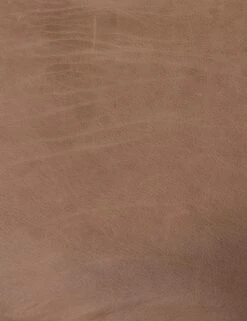 Sela Leather Accent Chair -Home Furni Shop 222702 012 det 2