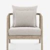 Tirado Indoor / Outdoor Accent Chair