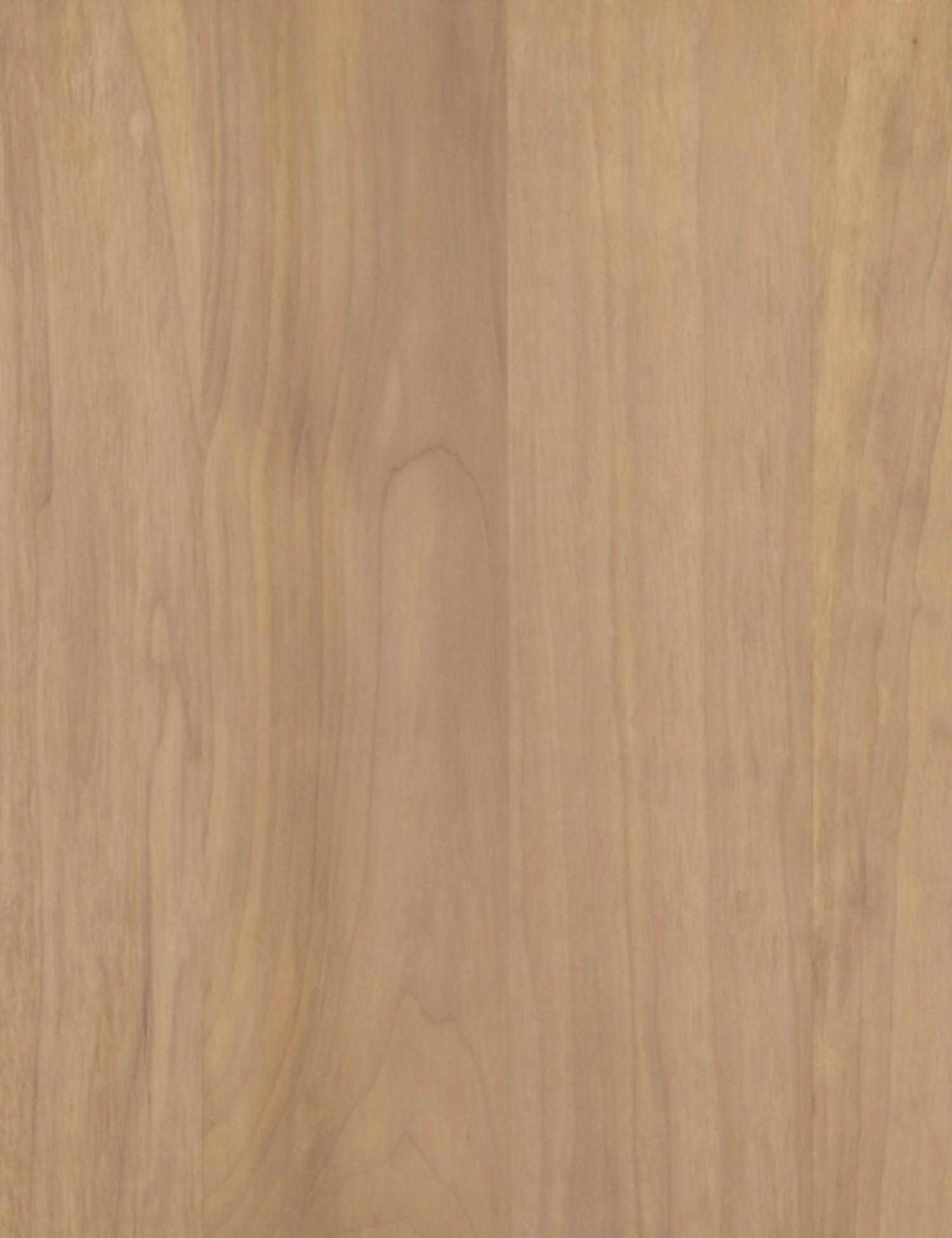 Maeve Media Console 9 Maeve Media Console - Image 9