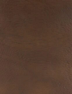 Gilbert Dining Chair -Home Furni Shop 224509 001 DET 2