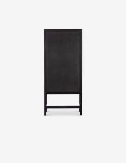 Hannah Narrow Cabinet 34 Hannah Narrow Cabinet -Home Furni Shop 225960 003 BCK 1