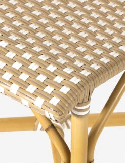 Monet Indoor / Outdoor Dining Chair 10 Monet Indoor / Outdoor Dining Chair -Home Furni Shop 226843 001 DET 3