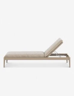 Cadenza Indoor / Outdoor Chaise 15 Cadenza Indoor / Outdoor Chaise -Home Furni Shop 226912 006 SID 1