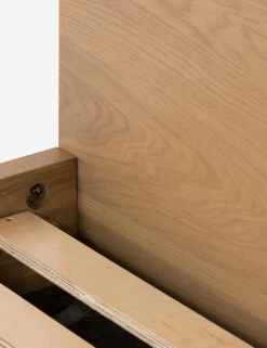 Cyrus Platform Bed 9 Cyrus Platform Bed -Home Furni Shop 226971 003 DET 3