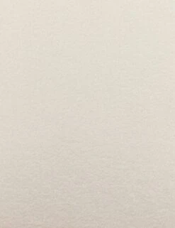 Krane Dining Chair 12 Krane Dining Chair -Home Furni Shop 227407 004 DET 2