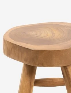 Oberon Indoor / Outdoor Stool -Home Furni Shop 227704 001 DET 1 SITECROP