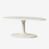 Inga Indoor / Outdoor Oval Coffee Table