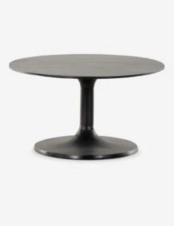 Inga Indoor / Outdoor Oval Coffee Table -Home Furni Shop 227822 005 SID 1 SITECROP