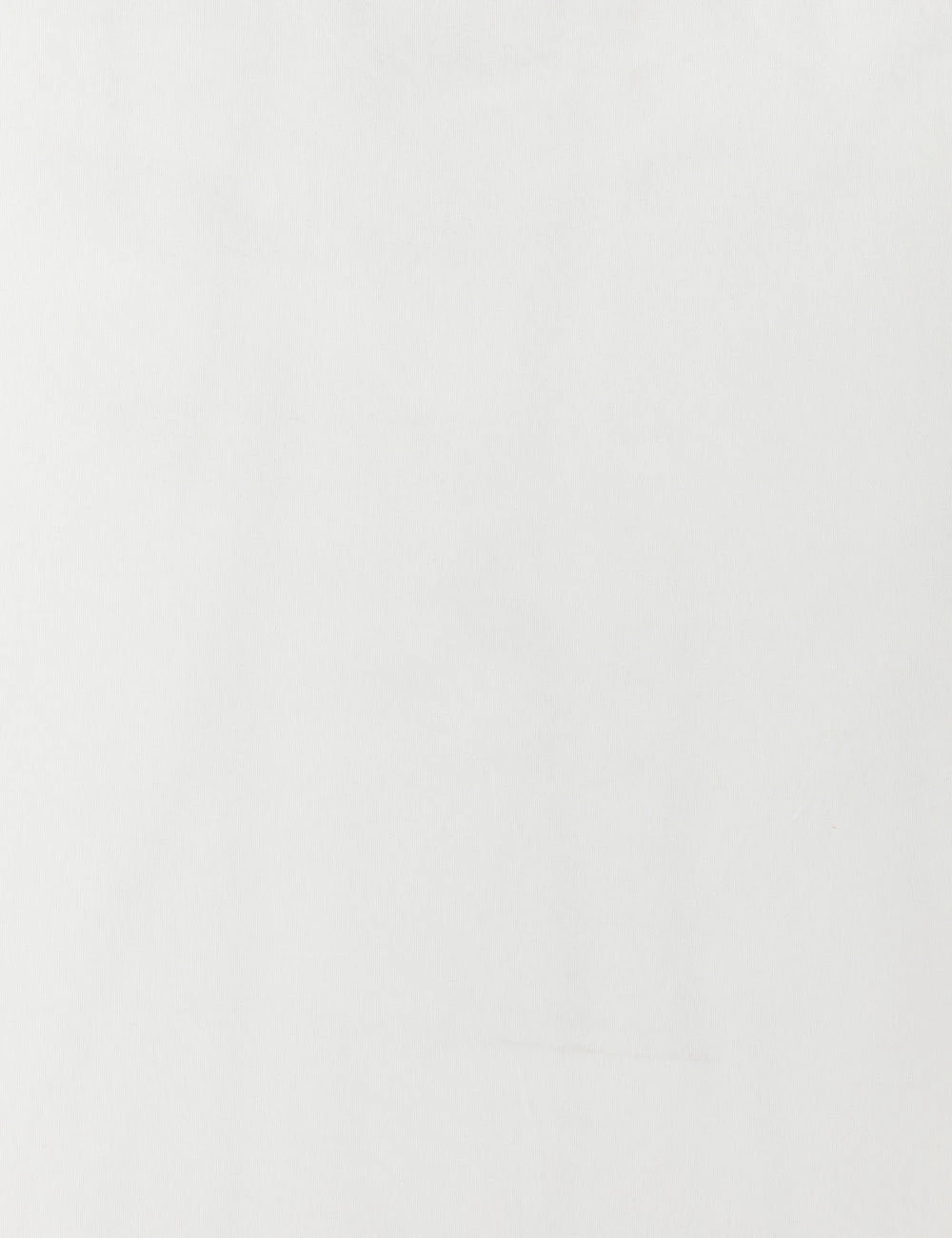 Anson Indoor / Outdoor Accent Chair 6 Anson Indoor / Outdoor Accent Chair - Image 6