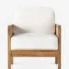 Anson Indoor / Outdoor Accent Chair