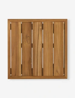 Anson Indoor / Outdoor Side Table -Home Furni Shop 229413 001 TOP 1