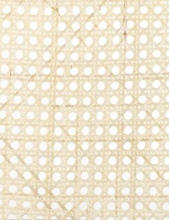 Barron Dining Chair -Home Furni Shop 229571 001 DET 2