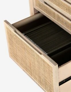 Margot Modular Desk With Filing Cabinet -Home Furni Shop 230207 001 det 1