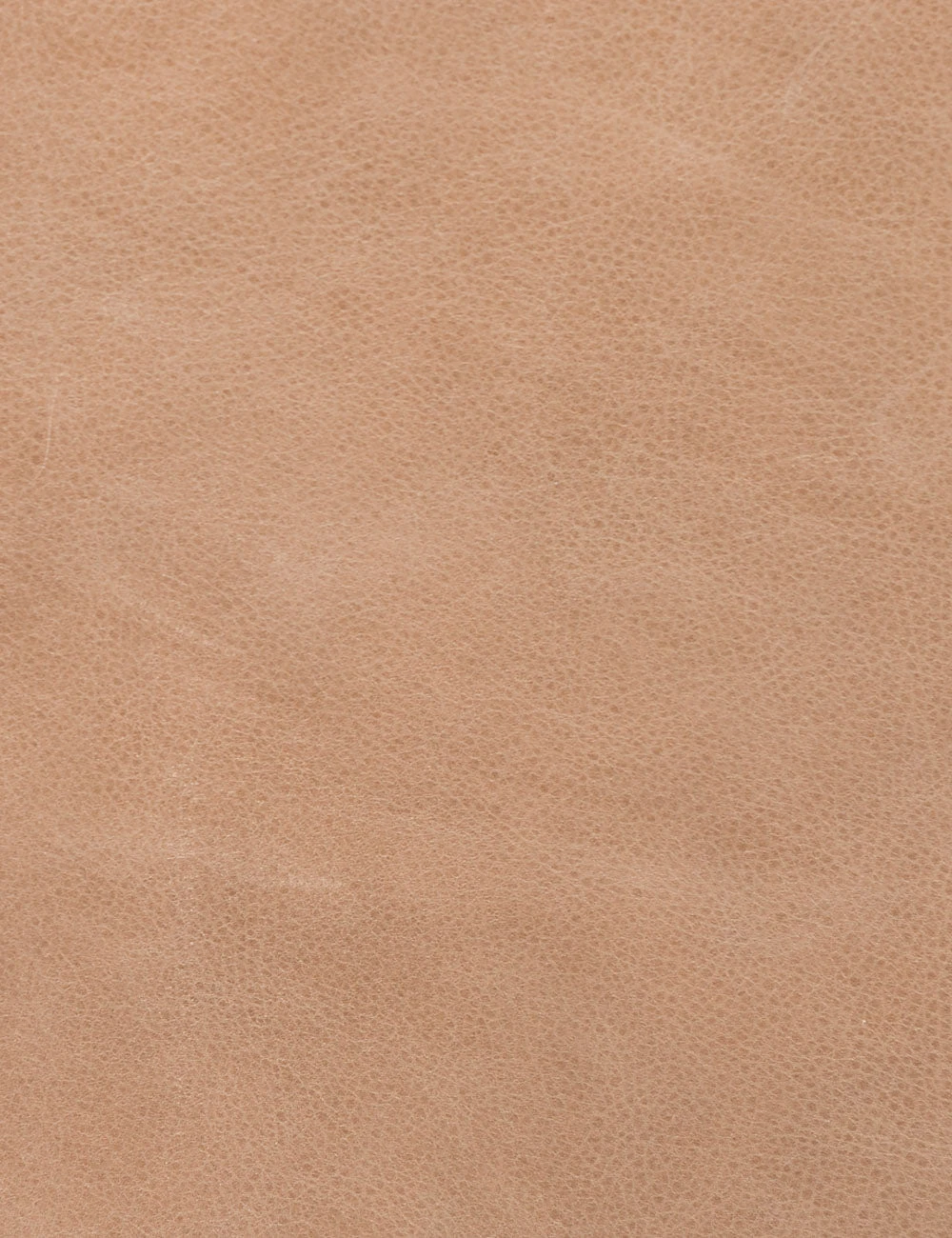 Proctor Office Chair 6 Proctor Office Chair - Image 6