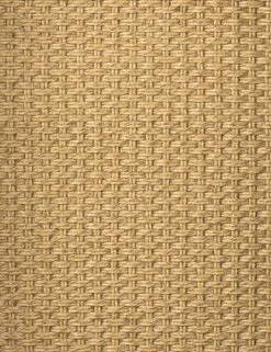 Wilkins Indoor / Outdoor Accent Chair -Home Furni Shop 231931 001 DET 2