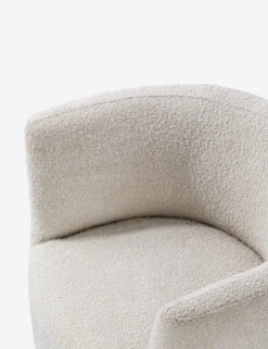 Haynes Accent Chair 20 Haynes Accent Chair -Home Furni Shop CH 1002268 VN15 FN LV OC WH OS DETAIL03 Product