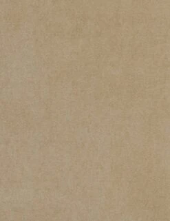 Lotte Sleeper Sofa 23 Lotte Sleeper Sofa -Home Furni Shop CamelVelvet RHEN 030 14861 43 BI Swatch SITECROP