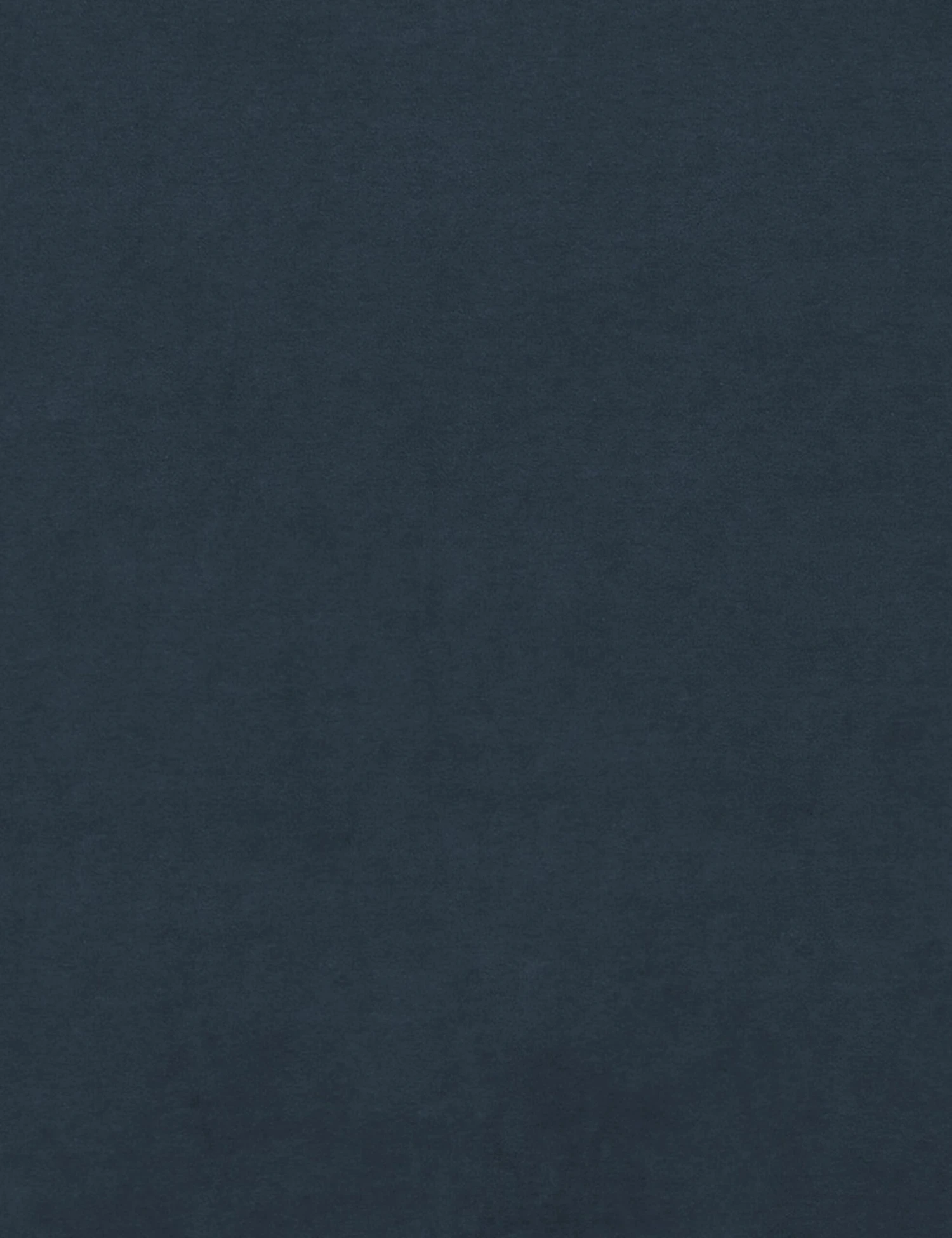 Dawson Swivel Chair 3 Dawson Swivel Chair - Image 3