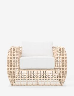 Mendoza Indoor / Outdoor Accent Chair