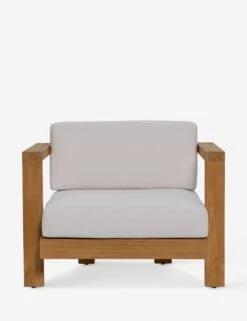 Landry Indoor / Outdoor Accent Chair