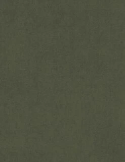 Lotte Sleeper Sofa 31 Lotte Sleeper Sofa -Home Furni Shop MossVelvet RHEN 030 14861 43 BI Swatch SITECROP