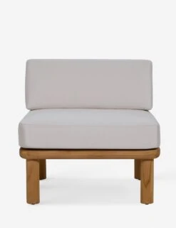 Ryann Indoor / Outdoor Accent Chair