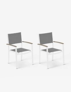 Hermes Indoor / Outdoor Dining Chair (Set Of 2)
