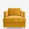 Belmont Accent Chair By Ginny Macdonald