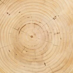 Solaro Side Table 11 Solaro Side Table -Home Furni Shop cbsh 024 det 2