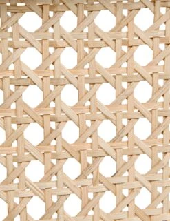 Loreana Accent Chair -Home Furni Shop gcha258hb ln 6 1